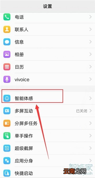vivo NEX 3s怎么设置捂住屏幕静音