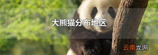 大熊猫分布地区
