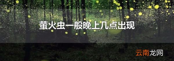 萤火虫一般晚上几点出现