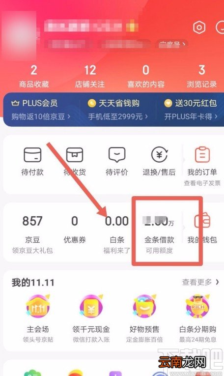 京东APP设置自动还款的方法