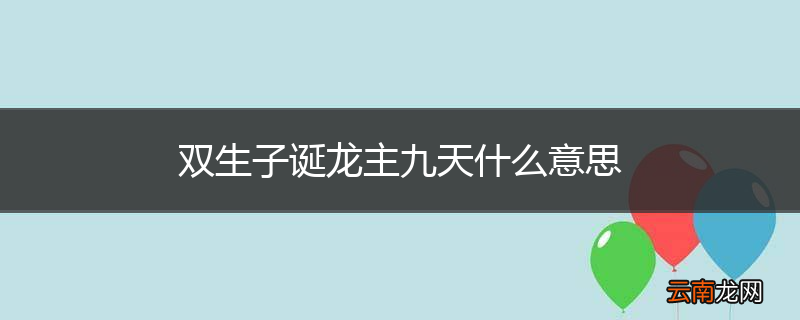 双生子诞龙主九天什么意思