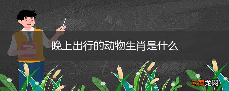 晚上出行的动物生肖是什么