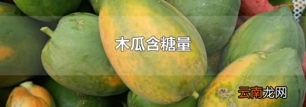 木瓜含糖量