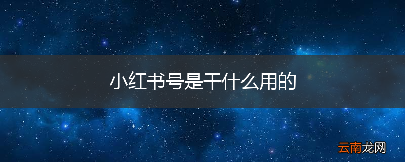 小红书号是干什么用的