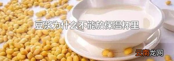 豆浆为什么不能放保温杯里