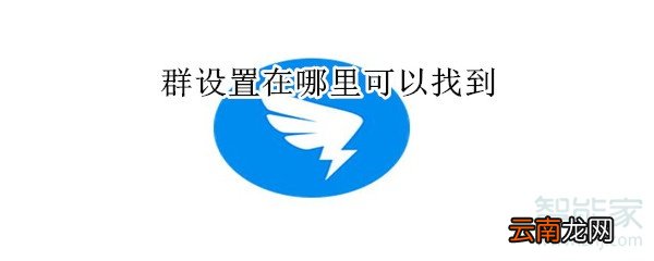 群设置在哪里可以找到