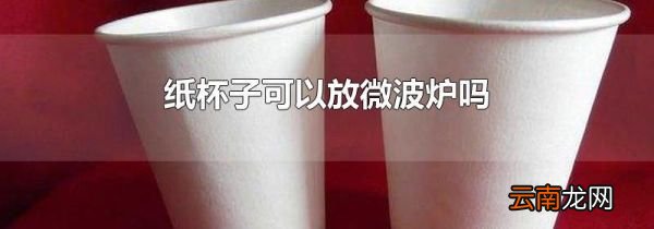 纸杯子可以放微波炉吗