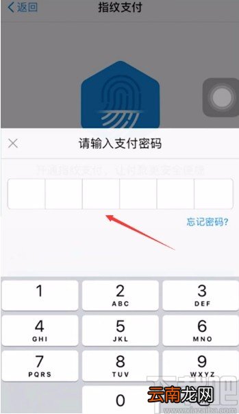 手机淘宝APP开启指纹支付的方法