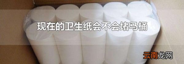 现在的卫生纸会不会堵马桶