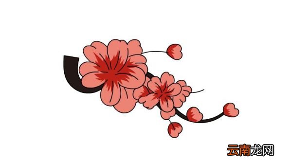 好看的花纹图案简笔画