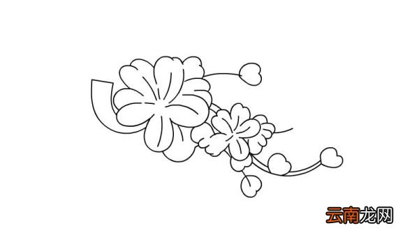 好看的花纹图案简笔画