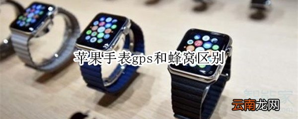 苹果手表gps和蜂窝区别
