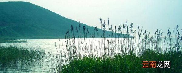 望洞庭湖赠张丞相主旨 望洞庭湖赠张丞相的中心思想