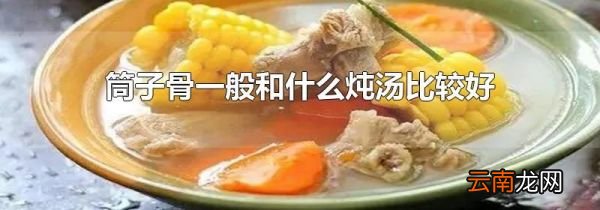 筒子骨一般和什么炖汤比较好