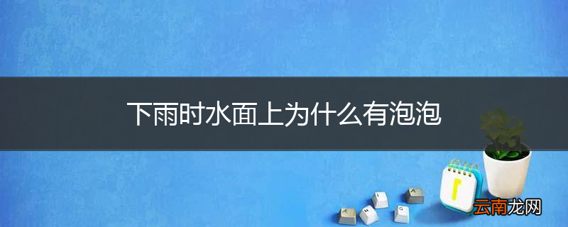 下雨时水面上为什么有泡泡