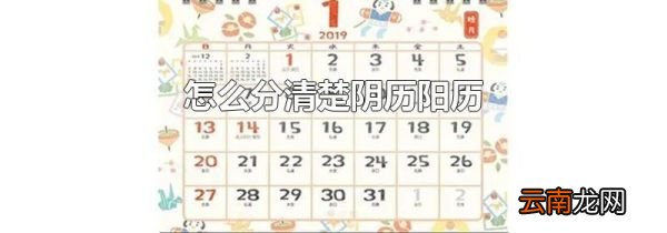怎么分清楚阴历阳历