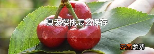 夏天樱桃怎么保存