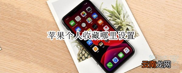 苹果个人收藏哪里设置