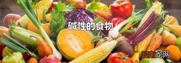 碱性的食物