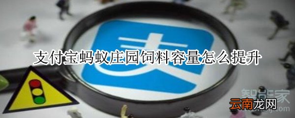 支付宝蚂蚁庄园饲料容量怎么提升