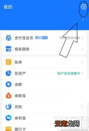 支付宝APP重置支付密码的方法