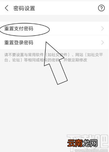 支付宝APP重置支付密码的方法