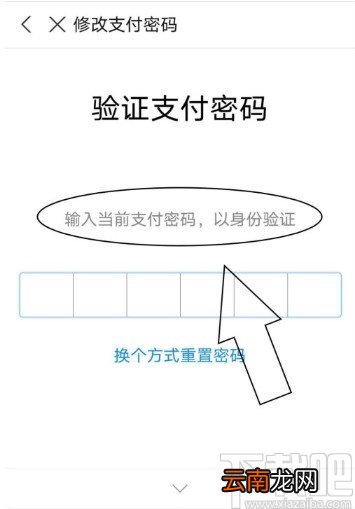 支付宝APP重置支付密码的方法