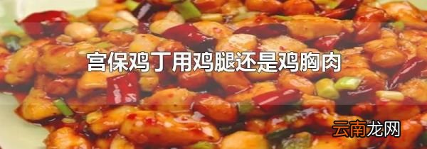 宫保鸡丁用鸡腿还是鸡胸肉