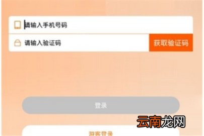 花生日记无法登录是什么原因