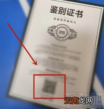 得物APP扫鉴别证书的操作方法
