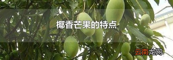 椰香芒果的特点