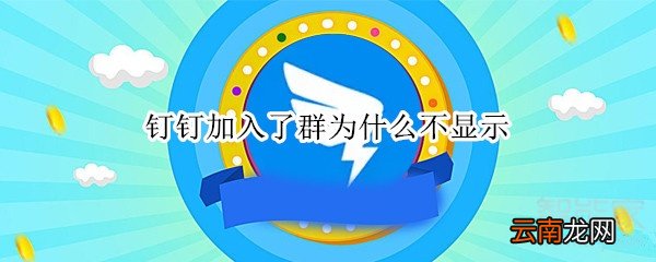 钉钉加入了群为什么不显示