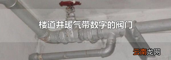 楼道井暖气带数字的阀门
