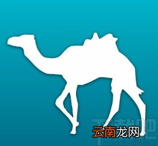 去哪儿旅行APP关闭个性化推荐的方法