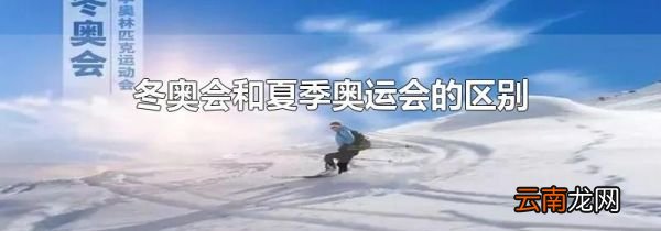 冬奥会和夏季奥运会的区别