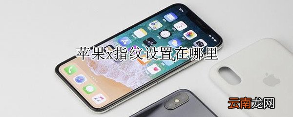 苹果x指纹设置在哪里