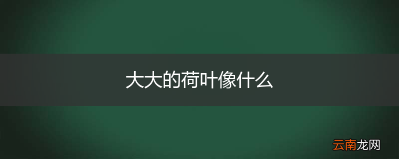 大大的荷叶像什么