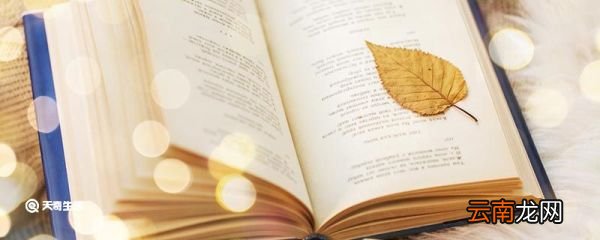 欲知山中事下一句是什么 欲知山中事的下一句