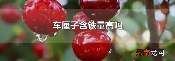 车厘子含铁量高吗
