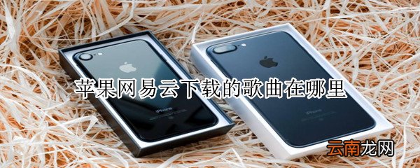 苹果网易云下载的歌曲在哪里