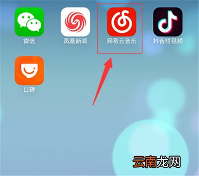 苹果网易云下载的歌曲在哪里