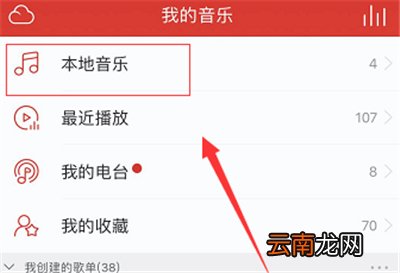 苹果网易云下载的歌曲在哪里