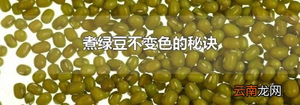 煮绿豆不变色的秘诀