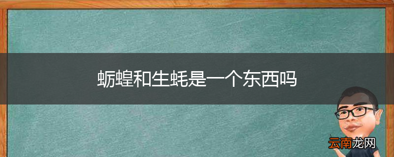 蛎蝗和生蚝是一个东西吗