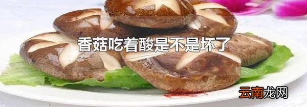 香菇吃着酸是不是坏了