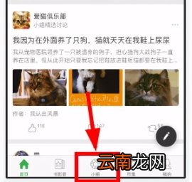 豆瓣添加投票的操作方法