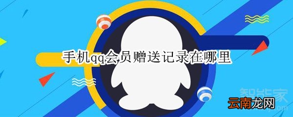 手机qq会员赠送记录在哪里