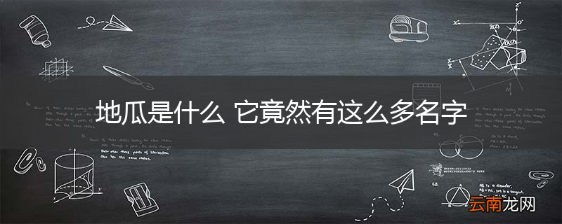 地瓜是什么 它竟然有这么多名字