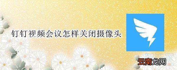 钉钉视频会议怎样关闭摄像头