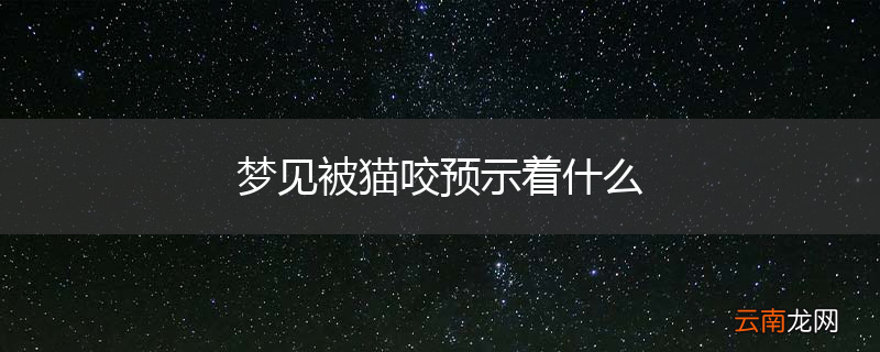 梦见被猫咬预示着什么